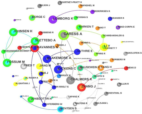 Figure 3 Author co-occurrence network.