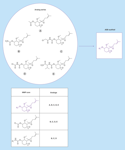 Figure 1.  Analog series-based scaffold identification.For a small analog series consisting of five compounds, all possible matched molecular pair (MMP) cores are shown. The core shared by all analogs (A–E) represents the analog series-based scaffold (purple).