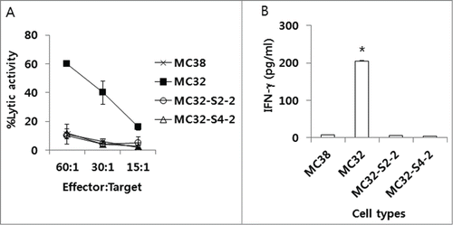 Figure 3. The sensitivity of MC32-S2–2 and MC32-S4–2 cells to CEA-specific CTL-mediated apoptosis in vitro and their ability to stimulate CEA-specific immune cells in vitro. (A) Naïve mice were immunized by IM-EP with 50 μg of CEA DNA vaccines (pCEA) per mouse at 0, 1 and 2 weeks. The mice were sacrificed at 4 weeks, and the spleens were removed for immune cell isolation. The cells were stimulated in vitro with CEA class I peptides and rIL-2 and then reacted with MC32, MC32-S2–2 and MC32-S4–2 cells for in vitro CTL lytic assay, as described in the Materials and Methods. (B) Similar experiments in Fig. 3A, except that 6 × 106 immune cells were stimulated for 2 d with 2 × 106 MC38, MC32, MC32-S2–2 and MC32-S4–2 cells, which had been exposed to UV light for 3 h before immune cell stimulation. Cell supernatants were used for sandwich ELISA to measure IFN-γ. *P < 0.05 using ANOVA compared with MC38.