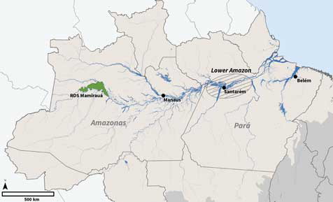 Figure 1 Location map of the Brazilian Amazon.