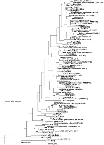 Figure 3. Phylogenetic tree constructed with the neighbor-joining method of the nirS sequences derived from sediments in Haizhou Bay and cultured bacterial and other typical environmental clones. The scale bar represents the expected number of changes per homologous position. Bootstrap values greater than 70% of 100 resamplings are shown near the corresponding nodes. The station name in parentheses indicates distribution of nirS sequences and the number refers to no. of OTUs based on 3% sequence distance cutoff.