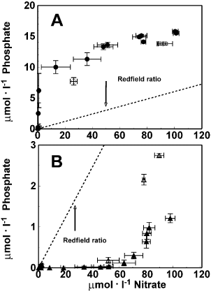 Fig. 2. Phosphate versus nitrate draw-down curves for Chaetoceros muelleri at initial N : P 5 (A), and 35 (B). Open symbols : HL, filled symbols : LL. Error bars indicate SD (n = 3). Redfield uptake rate line of 16 mol N per 1 mol P is included for reference.