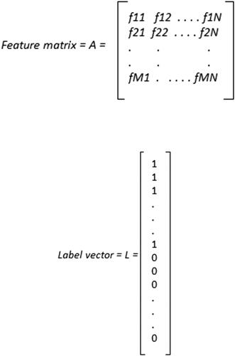Figure 3. Example of the feature matrix and the label vector used in this work.