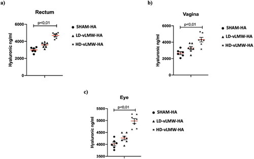 Figure 3. HA levels evaluated by Quantikine™ Hyaluronic acid Immunoassay in rectum (a), vagina (b) and eye (c) samples from SHAM-HA group, LD-vLMW-HA treated group and HD-vLMW-HA treated group.