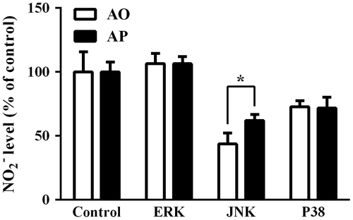 Fig. 7. Effects of MAP kinase inhibitors on AO- or AP-induced NO production from RAW264.7 cells.