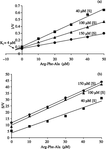 Figure 5 Dixon plot for determination of (a) apparent inhibition constant Ki and (b) Cornish-Bowden plot for DPP-III with Arg-Phe-Ala.