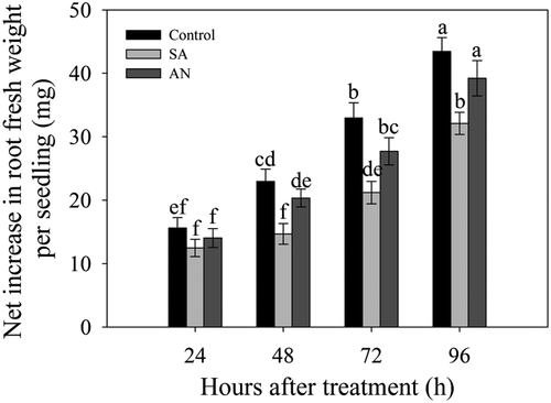 Figure 1. Effects of different N treatments on the root growth of wheat seedlings. The data show the means of the net increases in root fresh weight at 24, 48, 72 and 96 h. The results represent the mean ± SD of three independent experiments. Different lowercase letters above the columns indicate significant differences at P < .05. Control: wheat seedlings grown in 7.5 mM NO3−; SA: wheat seedlings grown in 7.5 mM NH4+; AN: wheat seedlings grown in 7.5 mM NH4+ + 1.0 mM NO3−.