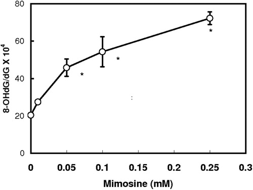 Figure 4. Effect of mimosine on the iron-dependent formation of 8-hydroxy-2′-deoxyguanosine in DNA. Iron-dependent formation of 8-hydroxy-2′-deoxyguanosine was carried out by HPLC-ECD method as described previously [Citation20]. Calf thymus DNA was treated with 0.1 mM ascorbic acid and 0.1 mM FeCl3 in the presence of the indicated concentrations of mimosine for 1 h and 8-OHdG was determined. Data are expressed as mean ± SD with three different determinations. Asterisks indicate a significant difference in the 8-OHdG/dG ratio between the control and the mimosine/iron-treated group (p < 0.01).