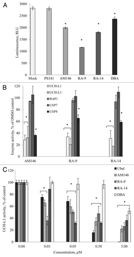 Figure 5. Chalcone-derivatives, AM146, RA-9 and RA-15, suppress activity of deubiqutinating enzymes (DUB). (A) Cellular DUB activity. 0.6 x 105 HeLa cells were incubated with 25 nM PS341, 10 µM AM146, 10 µM RA-9, 10 µM RA-14 or 10 µM DBA for 24 h. DUB activity in whole-cell extracts was performed as described in Material and Methods using DUB-Glo™ Protease Assay reagent. Background luminescence values (DMSO + cell culture medium) were subtracted, and data plotted as relative luminescence unit (RLU) and are based on two independent experiments ± standard error. *Indicates p ≤ 0.05. All experiments were done in triplicate. (B) Activity of purified human enzymes in vitro. The activity of 500 nM UCH-L1, 50 nM UCH-L3, 200 nM BAP1, 100 nM USP7 or 50 nM USP8 was measured with/without 10 µM AM146, 10 µM RA-9 or 10 µM RA-14 using DUB-Glo™ Protease Assay reagent as described in Material and Methods. Background luminescence values (DMSO + enzyme buffer) were subtracted, and data plotted as % of untreated control (DMSO+ enzyme) ± standard error. * indicates p ≤ 0.05 Two independent experiments were done in duplicate. (C) Activity of 50 nM UCH-L3 treated with indicated concentrations of AM-146, RA-9 and RA-14 was measured as in (B). Known DUB-inhibitors, ubiquitin aldehyde (ubal) and dibenzylideneacetone (DBA), were used as a positive control. Background luminescence values (DMSO + enzyme buffer) were subtracted, and data plotted as % of untreated control (DMSO+ enzyme) ± standard error. *Indicates p ≤ 0.05.