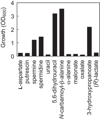 Figure 3. Growth of Methylobacterium sp. OR01 supplemented with β-alanine precursors.Methylobacterium sp. OR01 was cultivated in MM containing methanol as a carbon source and supplemented with 60 μM of each β-alanine precursor. The OD600 values after cultivation for 72 h are shown.