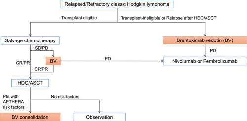 Figure 5 Current treatment strategy for relapsed/refractory classic Hodgkin lymphoma.Abbreviations: BV, brentuximab vedotin; CR, complete response; HDC/ASCT, high-dose chemotherapy with autologous stem cell transplantation; PD, progressive disease; PR, partial response; SD, stable disease.
