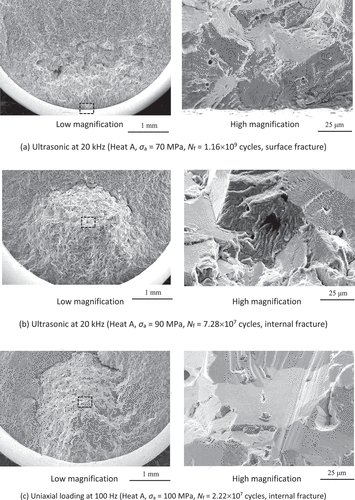 Figure 11. Typical fracture surfaces in σmax = σy tests.