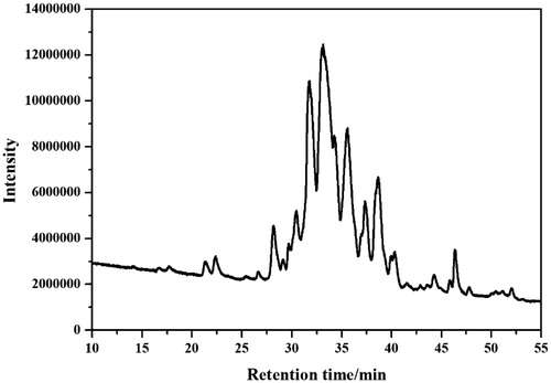 Figure 1. The full scan LC-ESI-MS chromatogram of fraction eluted using 80% methanol.