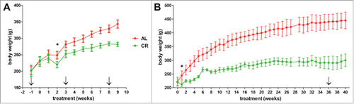 Figure 1. Growth curves of young growing (A) and adult (B) rats during ad libitum (AL, red) and caloric restriction (CR, green) treatment. Arrows indicate the different weeks at which stools were collected, while the first point in which the two groups exhibit a statistically significant difference in weight is marked with an asterisk.