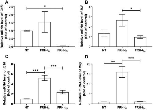 Figure 5. Effects of FRH on the expression of (A) Csf3, (B) Mif , (C) IL10 and (D) Ifng in PBMCs of rats. mRNA expression was determined by RT-qPCR. Data are the mean ± SEM of three independent experiments. Asterisks indicate significant differences between groups (***p < .001, **p < .01, *p < .05). NT: control animals (n = 6), FRH-t0: samples collected directly following FRH treatment (n = 6), FRH-t24: samples collected 24 h post-FRH treatment (n = 5). n indicates the sample size per group.