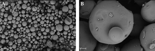 Figure 2. SEM images of Samples M10 (A) and M14 (B) which correspond to the smallest and largest microparticle formulations within the design space. Scale bar 30 µm.