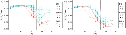 Figure 1 (a) Mean Fv/Fm values for F. ovina during long drought (25 days). Black dashed line indicates end of drought and start of two week watered recovery period. Error bars are ±  one standard error. For polyacrylamide (PG) and Sedum, “N” and “Y” refer to “yes” and “no”. For Brick, “L” and “S” are “large” and “small” particle size. (b) Mean Fv/Fm values for L. vulgaris during long drought (25 days). Black dashed line indicates end of drought and start of two week watered recovery period. Error bars are ±  one standard error. For polyacrylamide (PG) and Sedum, “N” and “Y” refer to “yes” and “no”. For Brick, “L” and “S” are “large” and “small” particle size.