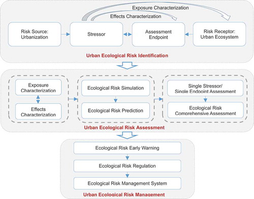Figure 2. Urban ecological risk assessment and management process.