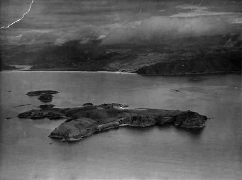 Figure 2. 1959 aerial photo of Slipper Island group from the northeast by Whites Aviation (Photo from JM Stewart Collection).