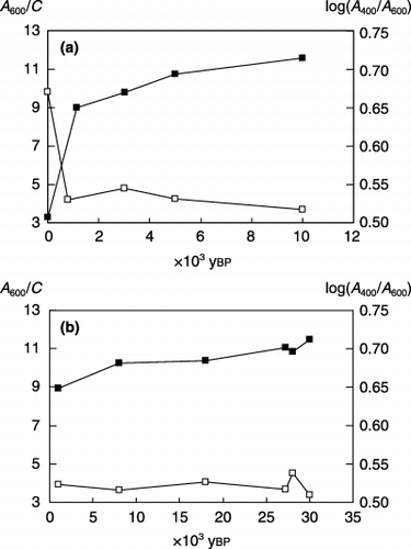 Figure 2  Degree of humification of humic acids in (a) Yubunebara and (b) Ashitaka-Onoue soils. (▪), A600/C; (□), log(A400/A600).