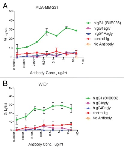 Figure 7 BIIB036 exhibits ADCC activity in vitro. ADCC assays were performed in (A) MDA-MB-231 and (B) WiDr cells with a 5:1 ratio of NK to target tumor cells in the presence of increasing concentrations of antibody. BIIB036 (hIgG1) was tested and compared to other Fc versions of the antibody (hIgG1agly or hIgG4Pagly) or control human Ig. Percent lysis is shown. Only BIIB036 exhibited activity in this assay.