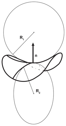 Figure 2 Curvature of the surface.