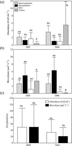 Figure 3 Within-year and year-to-year variations in the abundance (a, c) and biovolume (b, c) of bacteria (abundance: 109 cell mL−1; biovolume: 109 µm3 L−1), phytoplankton (abundance: 107 cell mL−1; biovolume: 109 µm3 L−1), HNF (abundance: 107 cell mL−1; biovolume: 108 µm3 L−1), ciliates (abundance: 103 cell mL−1; biovolume: 108 µm3 L−1), and zooplankton (abundance: ind L−1; biovolume: 108 µm3 L−1) in La Caldera in summers of 2005 and 2006. Significant differences at p < 0.05 between years are indicated with letters. Error bars represent standard deviation (SD).