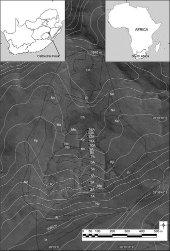 Figure 1:  Soil map, location of the profiles, and 20-metre-interval contour lines in the Cathedral Peak VI catchment. Ch = Champagne 1200, Ia = Inanda 1200, Kp = Kranskop 1200, Ma = Magwa 1200, No = Nomanci 1200, R = Rock