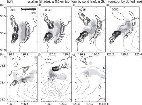 Fig. 10 Horizontal distributions of the mixing ratio of rain water (qr , in grey scale) at a height of 2 km and the updraft (w, contours) at a height of 500 m in the BW4 run: (a)–(d) at 5-min intervals during the period 0035–0050 ST; and (e)–(g) at 20-min intervals during the period 0110–0150 ST. Regions of w>4 m s−1 at a height of 2 km are contoured by dotted lines (contour interval, 2 m s−1). The shaded and contoured regions are as in Fig. 6.