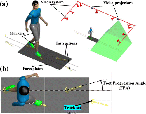 Figure 1. (a) Illustration of augmented-reality gait retraining system. (b) Illustration of FPA variable.