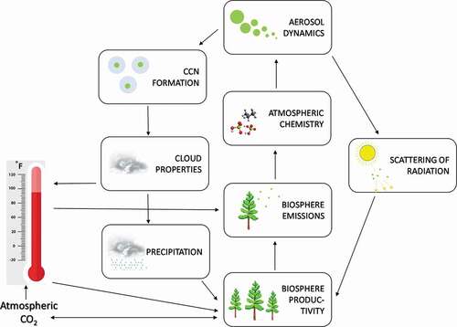 Figure 2. Schematic example of a complex feedback loop studied at SMEAR II (Kulmala et al., Citation2020, Citation2014, Citation2004). Biosphere productivity and further biogenic volatile compounds emitted from vegetation contribute to atmospheric chemistry and aerosol dynamics. Aerosol dynamics feeds back to biosphere productivity and emissions via two loops: 1) by contributing to cloud condensation nuclei (CCN) and further to cloud properties and precipitation, and 2) by increasing the ratio of scattered solar radiation that plants can utilize more efficiently than direct radiation. Finally, the ecosystem-atmosphere entity feeds back to the global climate as increasing air temperature and atmospheric CO2 concentration have a positive effect on boreal vegetation productivity and emissions, whereas vegetation productivity decreases atmospheric CO2 concentration via terrestrial carbon sink increasing cloudiness, which decreases air temperature