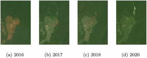 Figure D2. Represents the planet-NICFI images, showing how FLU evolves over time from deforestation. This is one of the patches of land-use following deforestation (large-scale cropland) in Ethiopia where changes happened over n-years, (a) Planet-NICFI image 2016, (b) Planet-NICFI image 2017, (c) Planet-NICFI image 2018 and, (d) the Planet-NICFI image 2020, respectively.