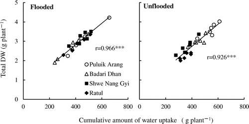 Figure3. Relationships between the cumulative amount of water uptake and total DW among four rice cultivars. Diagonal lines indicate regressions for all values of each soil water regimes. Levels of significance: *** significant at p < 0.001.