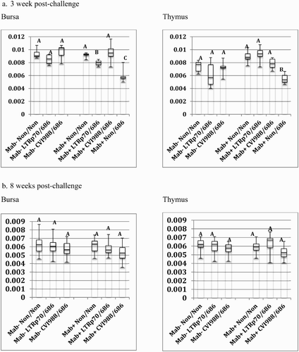 Figure 4. Box-plot of organ weight/body weight ratios of chickens vaccinated at hatch and challenged at 5 days of age. Chickens were vaccinated at day of hatch with phosphate-buffered saline (Non), rMd5 REV-LTR BAC p70, or CVI988/Rispens. The chickens were challenged with vv+MDV strain, 686, at 5 days of age. The error bars represent the range of values from the largest to the smallest. (a). Relative bursa/body weight and thymus/body weight ratios at three weeks post-challenge. (b) Relative bursa/body weight and thymus/body weight ratios at eight weeks post-challenge.