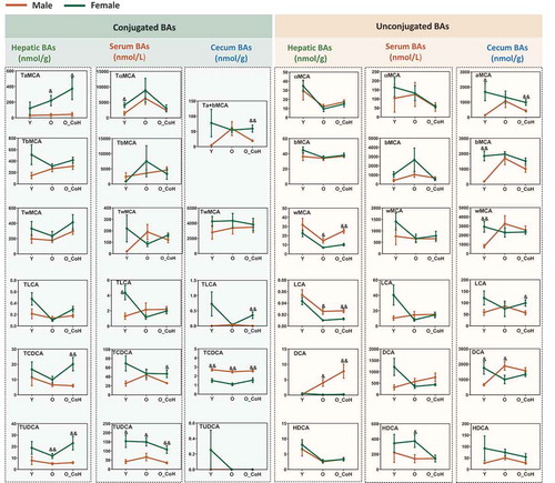 Figure 8. Sex difference in the concentration of certain BAs in the liver, serum, and cecal contents. &p < .05, &&p < .01 compared with female group. n = 5–10 mice per group.