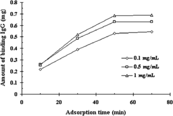 Figure 5 Binding of IgG at different concentration and time. The total amount of IgG added was fixed to 1 mg. 100 µL SPA-MCMS were used per sample.