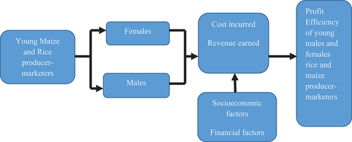 Figure 1. SmartArt chart for the gender differential analysis in profit efficiency.