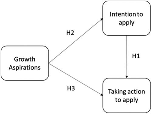 Figure 1. Conceptual model.