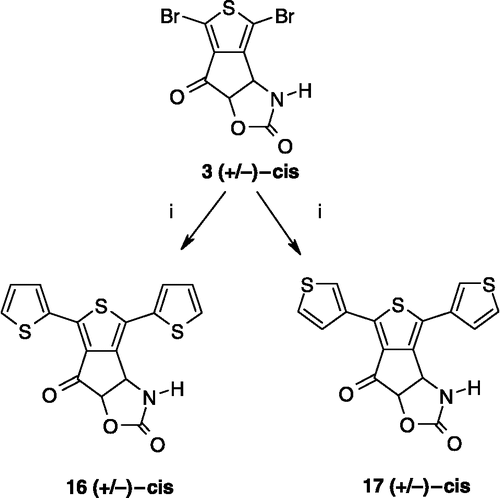 Scheme 4 Synthesis of compounds 16–17. Reagents: (i) ArB(OH)2, PdCl2(dppf), TEA, DMF.