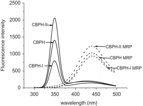 Figure 1. Fluorescence emission spectra of CBPH and its fractions before and after the Maillard reaction with galactose. Excitation wavelength was 347 nm. CBPH (or CBPH-I, CBPH-II) is the CBPH (or CBPH-I, CBPH-II)–galactose system without heating (i.e. the control solution). MRP is the CBPH (or CBPH-I, CBPH-II)–galactose system after heating at 100°C for 90 min without pH control (i.e. MRP solution). The control and MRP solutions were diluted fivefold with distilled water.