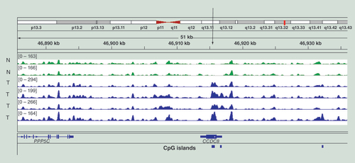 Figure 3.  Example of MIRA-seq profiles used to identify cancer-associated DNA hypermethylation.Data are for two samples of normal melanocytes (N, green) and four melanoma tumors (T, blue). The data are displayed in the Integrative Genomics Viewer and an area of chromosome 19 is shown. The vertical arrow points to the gene CCDC8, which becomes methylated in the gene body in melanoma.