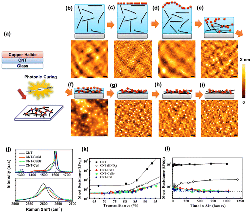 Figure 7. (a) Schematic showing the photonic curing process for fabricating CNT-copper halide hybrids. Formation mechanism of the interconnecting nodes, and corresponding atomic force microscopy (AFM) images of (b) as-deposited HPC-dispersed CNT, (c–j) as-deposited CNT-HPC/CuI films during the photonic curing. Raman spectra of (k) CNT and CNT-copper halide films after photonic curing. Properties of CNT-copper halide films as transparent electrodes: (i) sheet resistance versus transmittance, (m) durability of sheet resistance in air at room temperature. (Reprinted with permission from [Citation104], copyright 2015 Elsevier.)