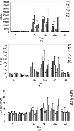 Figure 7 Blood biochemical markers of CK, ALT, and BUN were used to evaluate the heart, liver, and kidney damage. a): circulation CK increased in rabbits after exchange transfusion, peaked at different time owning to different resuscitation fluids infusion and restored to normal level until 8 d. b): ALT increased in six group rabbits after exchange transfusion and returned to normal at 8 d. c): There is no significant increase in circulating blood urea concentration in groups that exchange transfused by autologous whole blood and PEG-bHb (containing MetHb of 5%, 8%, 15%, and 25%) and recovered at 8 d.