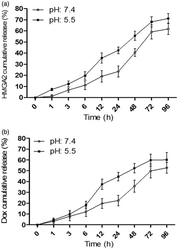Figure 4. In vitro release profile of drug doxorubicin (A) and siRNA HMGA2 (B) from trimethyl chitosan nanoparticles in pH 7.4 and 5.5 at 37 °C.