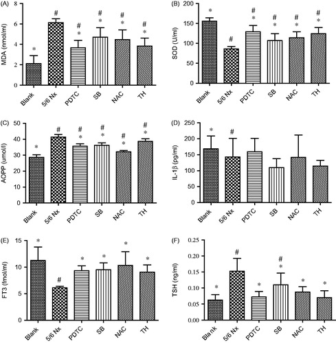 Figure 1. The levels of serum MDA (A), SOD (B), AOPP (C), IL-1β (D), FT3 (E), and TSH (F) in each group. Data are given as mean ± SD of four animals per group. #p < 0.05 compared with Blank group. *p < 0.05 compared with 5/6 Nx group.