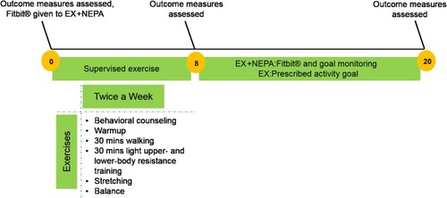 Figure 1 Intervention design characteristics. Exercise intensity was monitored with Borg’s category ration (CR) 10 subjective physical exertion scale and with a heart rate monitor (Polar Ft2, Lake Success, NY). Participants were instructed to walk at a 5–6 (CR10) with periods of 7–8 (CR10). Participants in the EX + NEPA group were instructed to remove Fitbit Zip® prior to exercise session during the intervention phase.