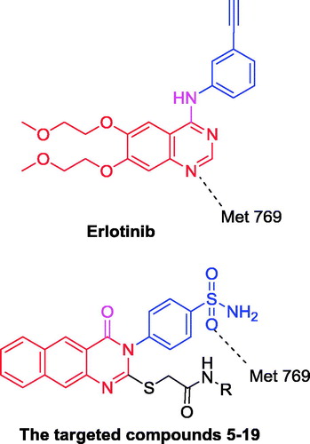 Figure 2. The design concept of the targeted compounds.