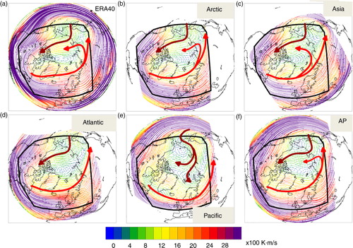 Fig. 5 Mean DJF 500 hPa heat transport (v·T) [100 K·m/s] calculated from 6-hourly temperature and wind velocity. Black polygon indicates the common part of all the five setups. Thick arrows schematically represent the Atlantic (red arrows) and Pacific (brown arrows) atmospheric flow.