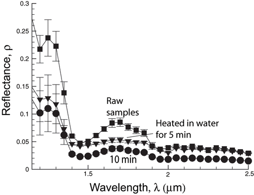 Figure 5 Variation of spectral hemispherical reflectance, ρ, of potato tissue with different heat treatments (raw and heated in water for 5 and 10 minutes, respectively), showing the largest variation occurring between raw and heated samples.