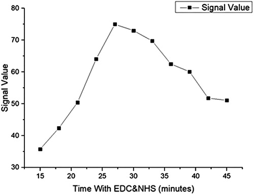 Figure 6. The influence of reaction time with EDC and NHS.